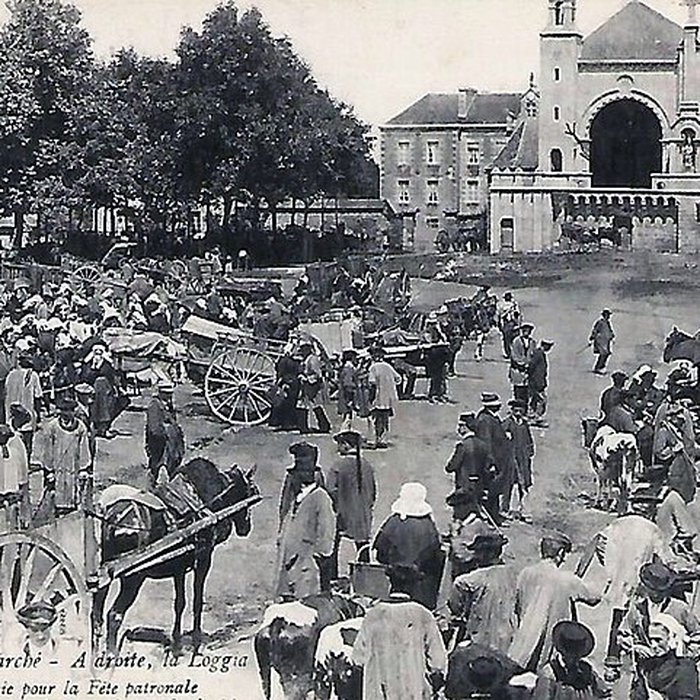 Photo de Église Saint-Martin de Josselin
