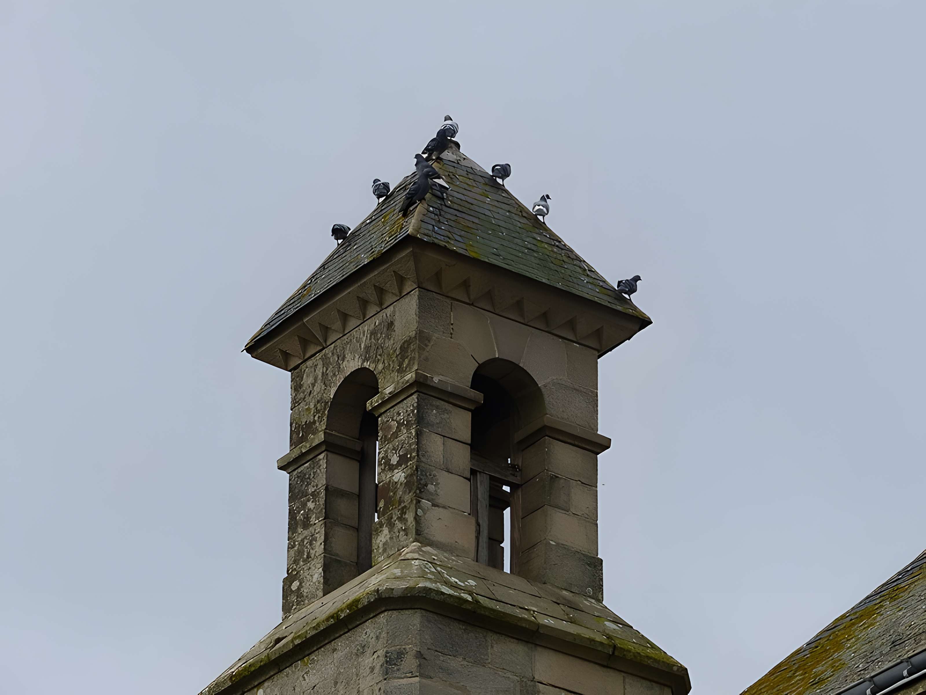 Église Saint-Martin de Josselin