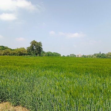 Église Saint-Martin de Moisenay