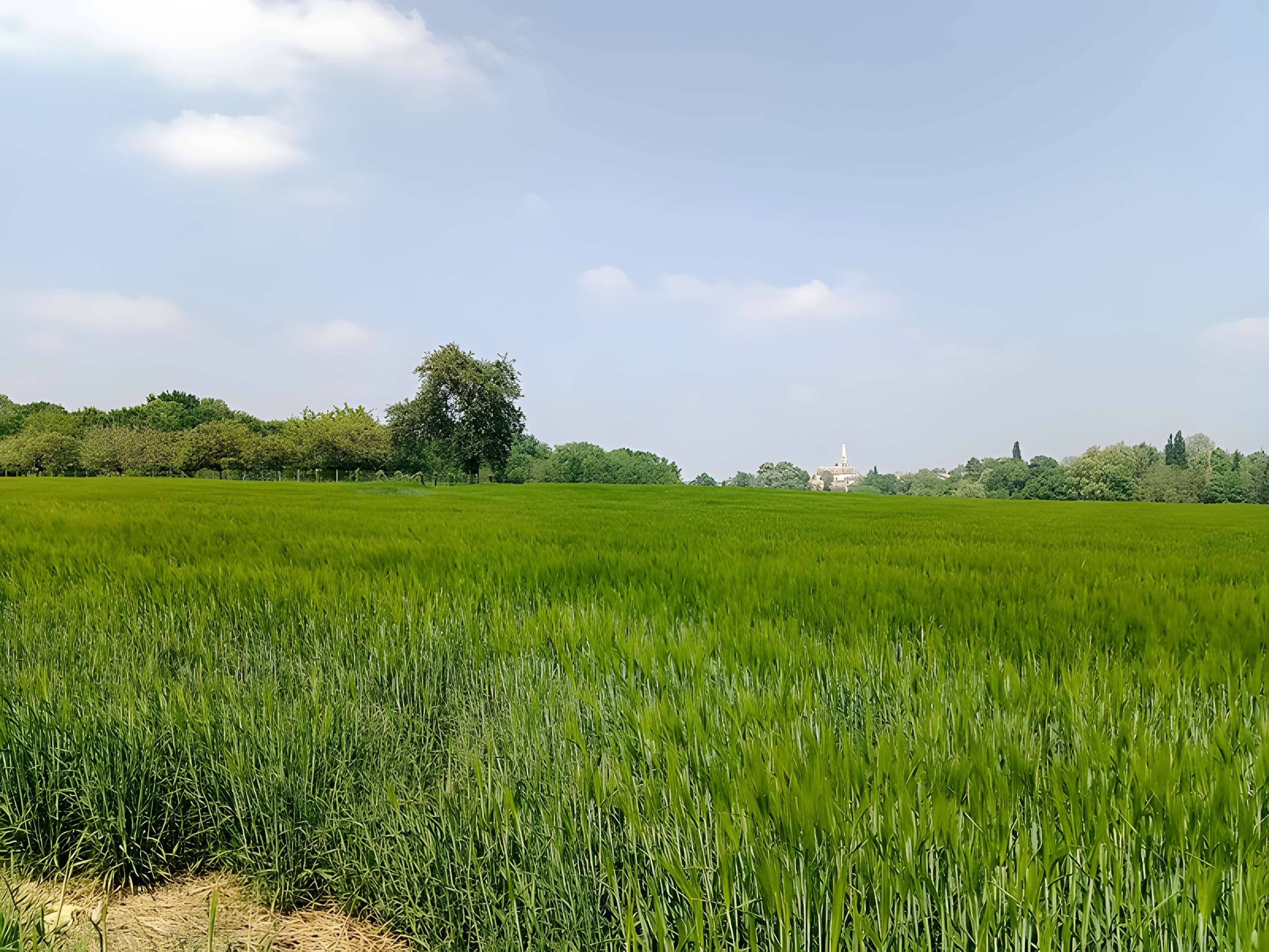 Église Saint-Martin de Moisenay