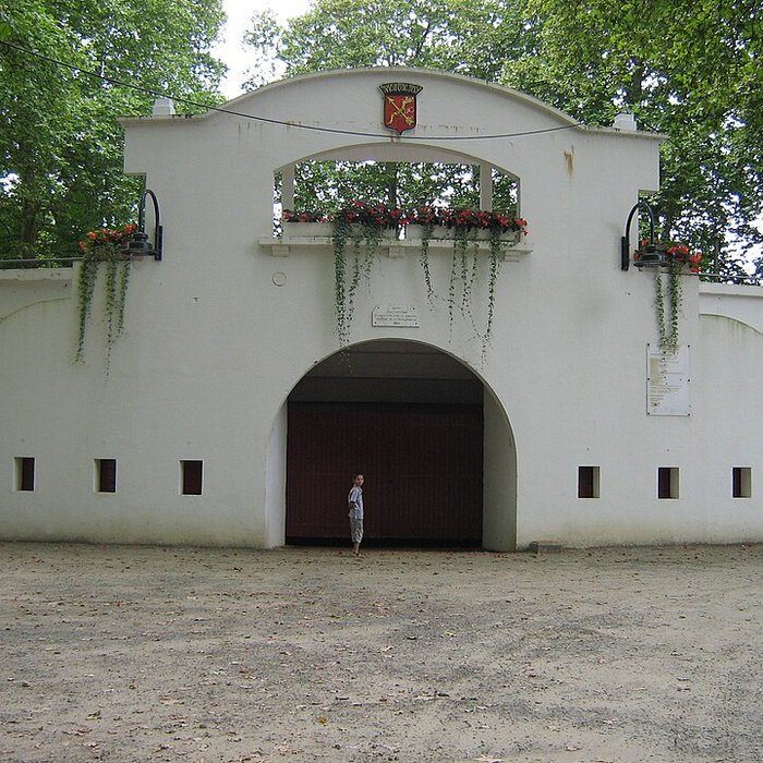 Photo de Arènes Jean-Lafittau à Amou