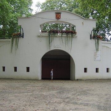 Arènes Jean-Lafittau à Amou