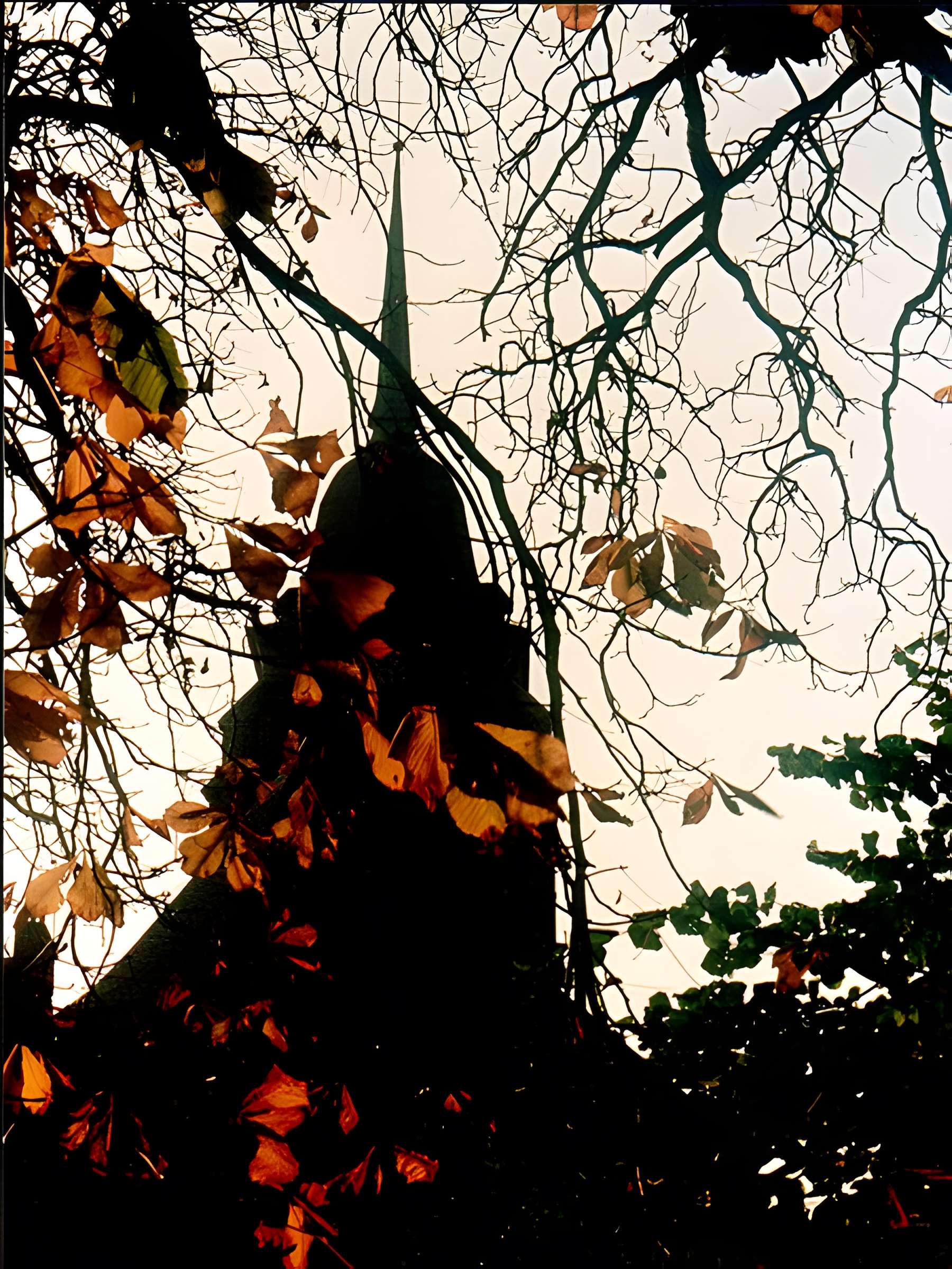 Église Saint-Martin de Pas-en-Artois
