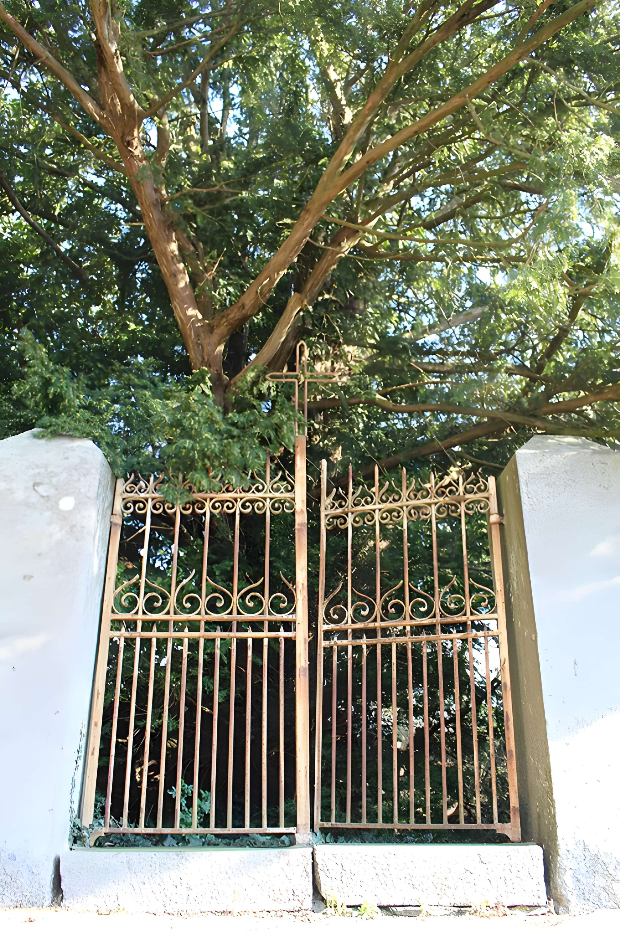 Eglise et le cimetière qui l'entoure