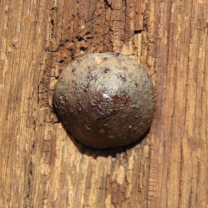 Photo de Église Saint-Martin de Saint-Martin-de-Bréthencourt