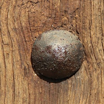 Église Saint-Martin de Saint-Martin-de-Bréthencourt