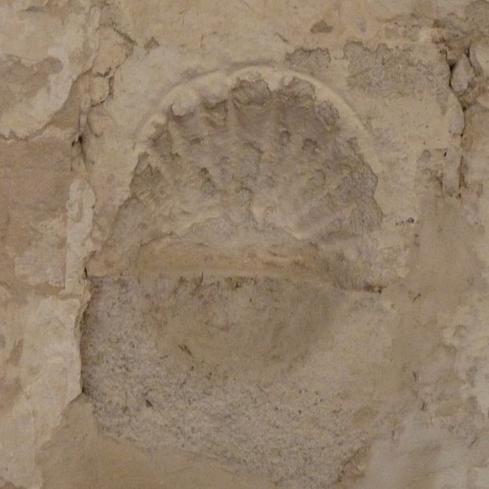 Photo de Église Saint-Martin de Saint-Martin-de-Coux