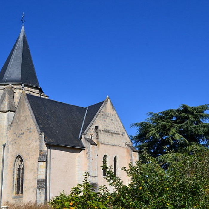 Photo de Église Saint-Martin de Saint-Martin-des-Bois
