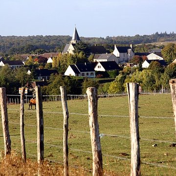 Église Saint-Martin de Saint-Martin-des-Bois