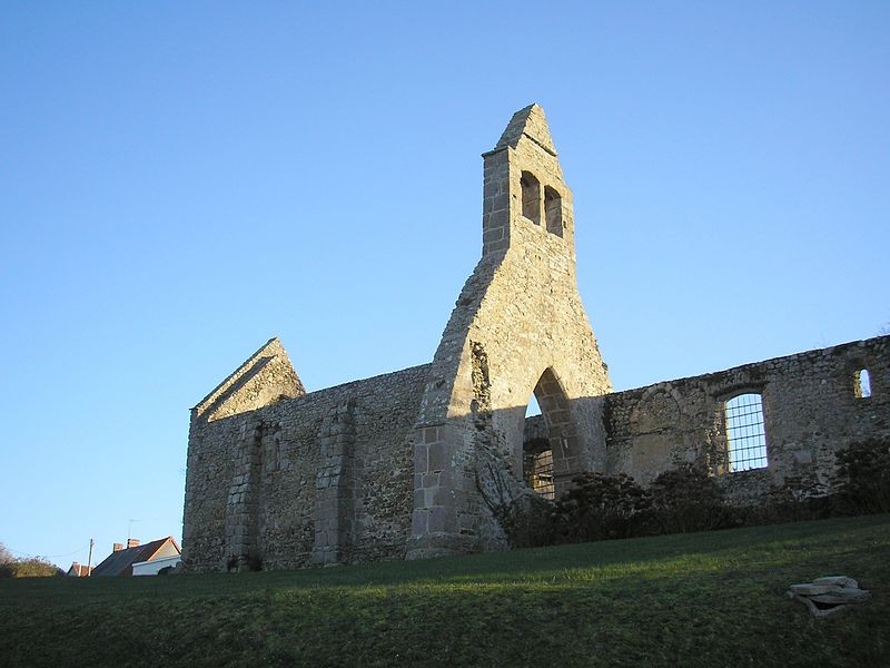 Photo de Église Saint-Martin de Saint-Martin-le-Vieux