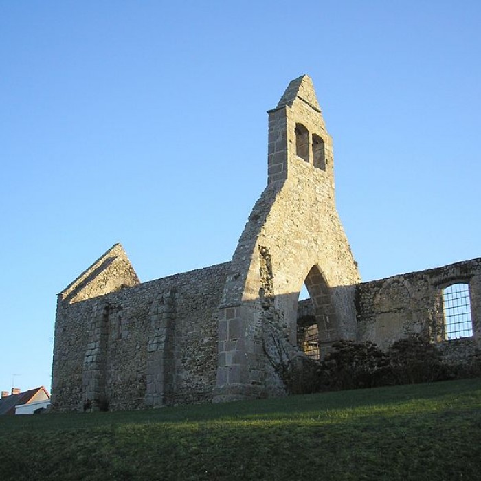 Photo de Église Saint-Martin de Saint-Martin-le-Vieux