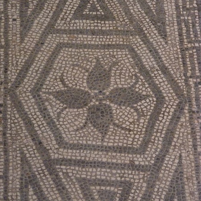 Photo de Basilique et Mosaïque romaine de Grand