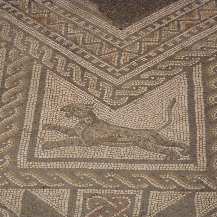 Photo de Basilique et Mosaïque romaine de Grand