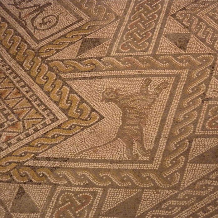 Photo de Basilique et Mosaïque romaine de Grand