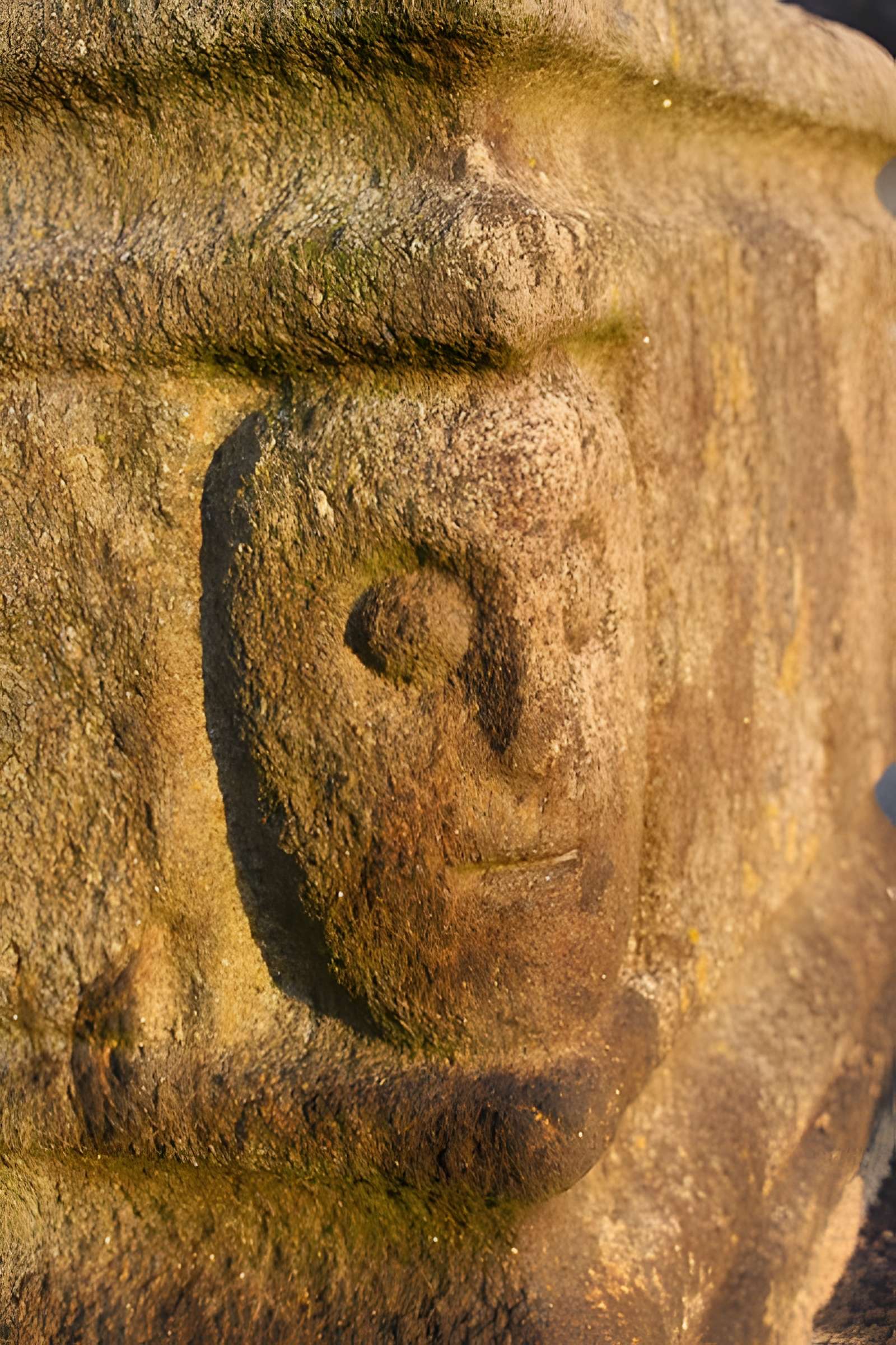 Église Saint-Martin de Servon