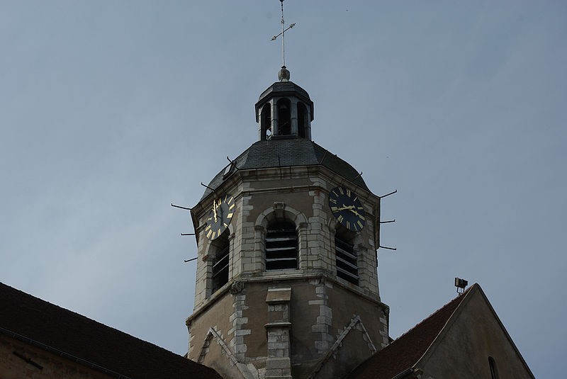 Photo de Église Saint-Martin de Seurre