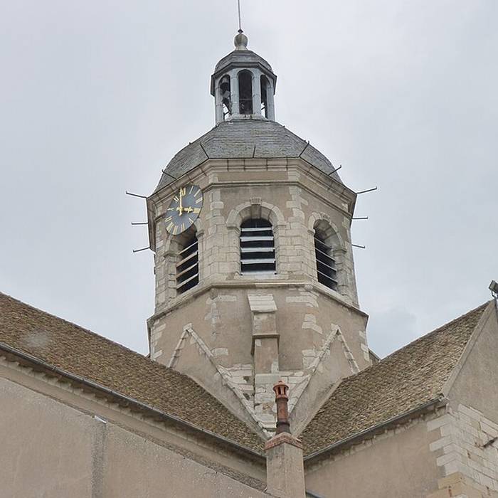 Photo de Église Saint-Martin de Seurre