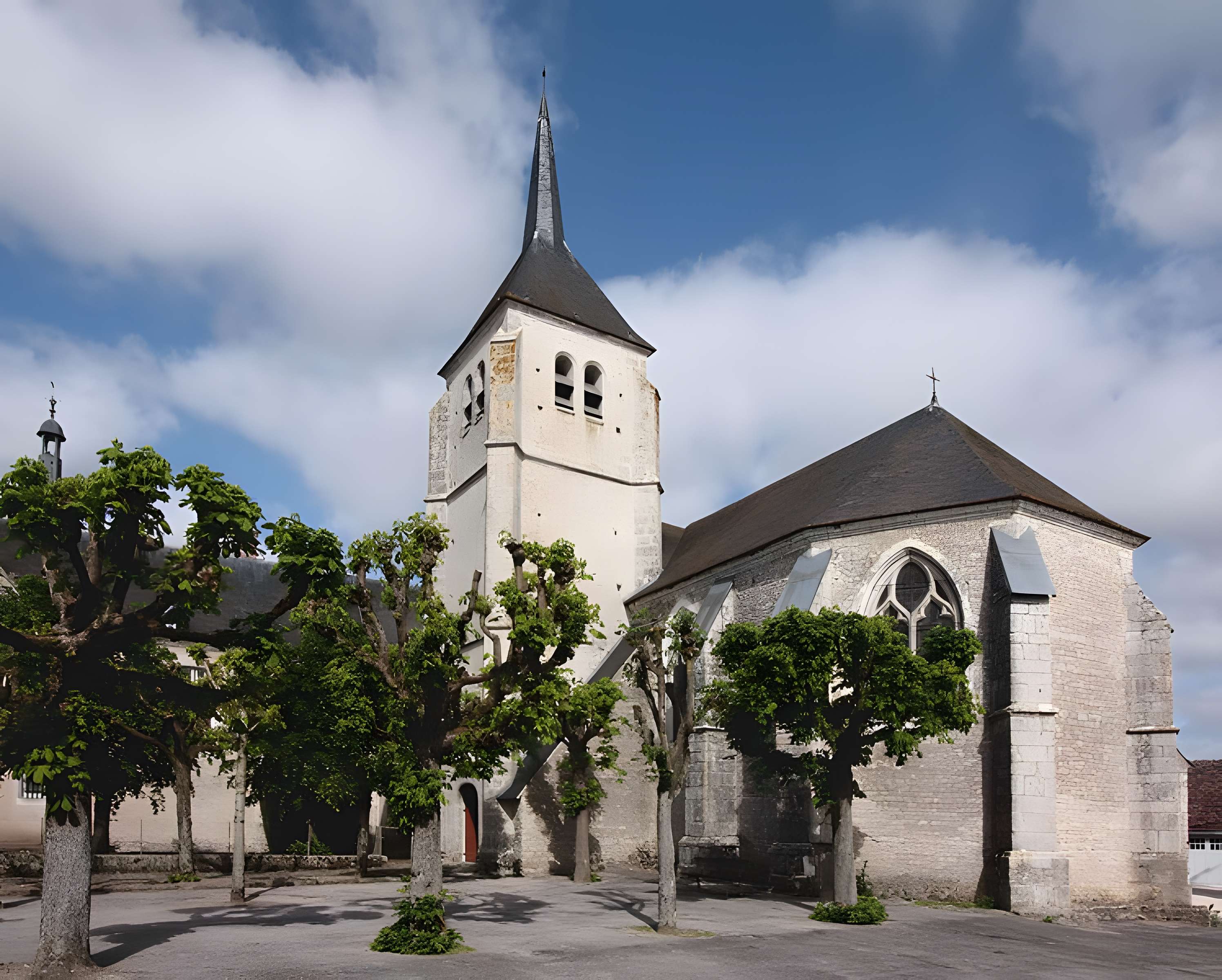 Église Saint-Martin de Talcy 