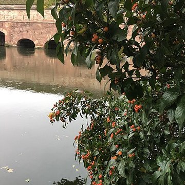 Barrage Vauban de Strasbourg
