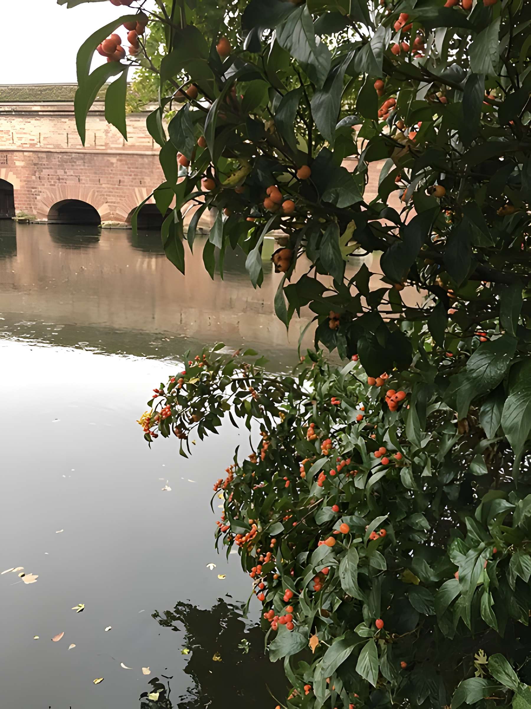 Barrage Vauban de Strasbourg