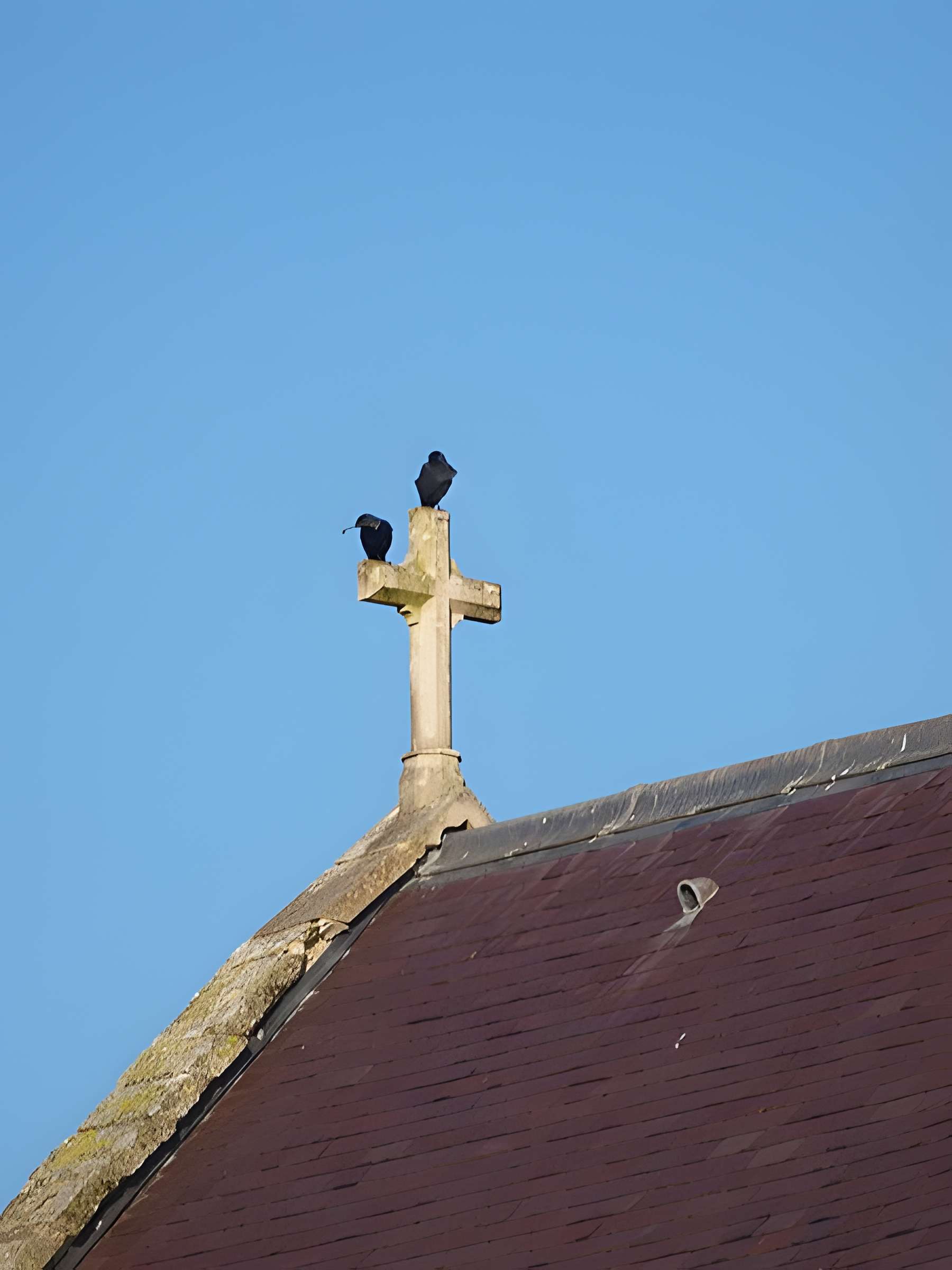 Église Saint-Martin de Vendresse