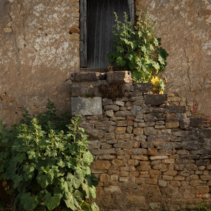 Photo de Église Saint-Martin de Vic