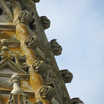 Basilique Notre-Dame dAvesnières à Laval