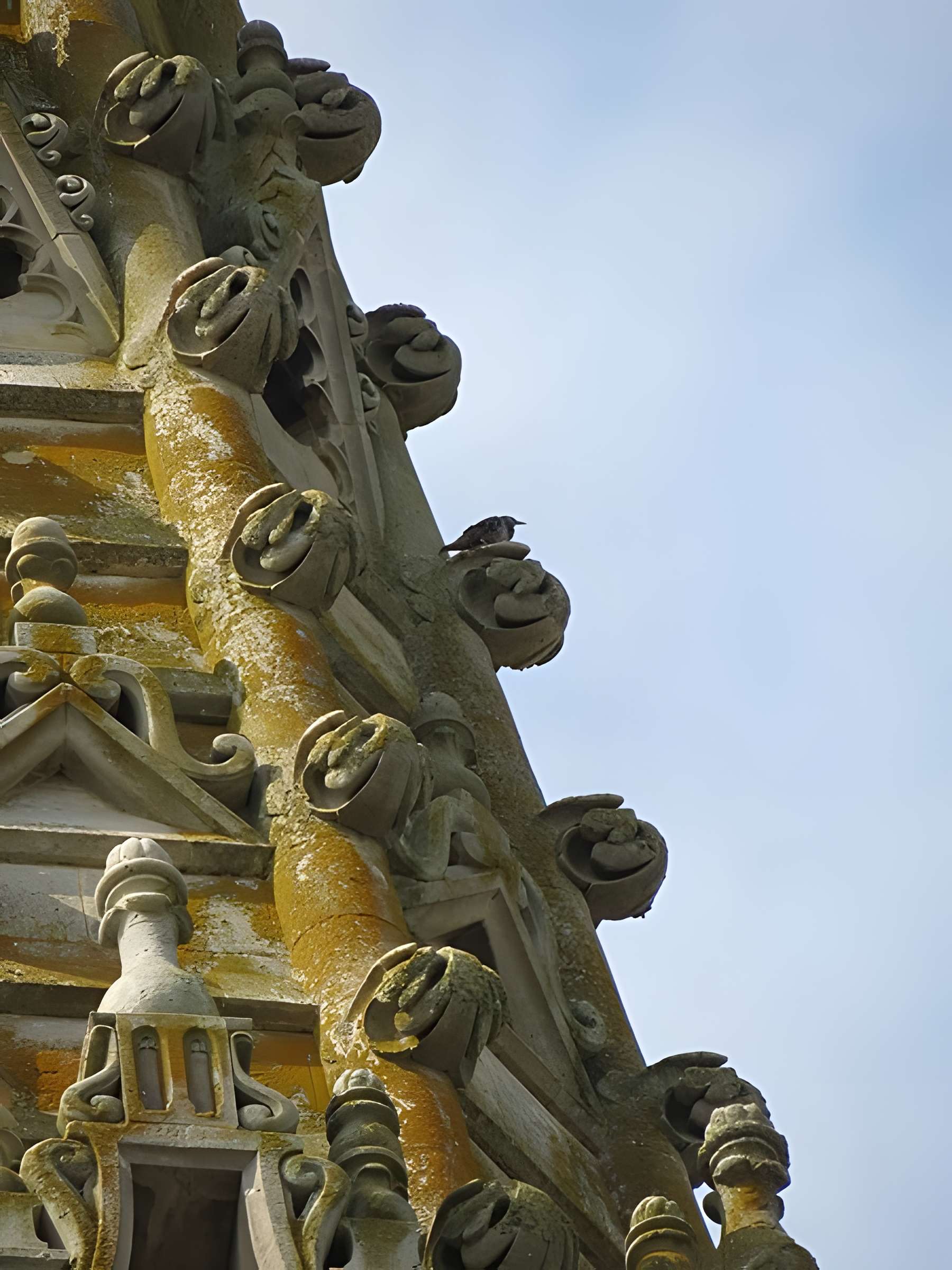 Basilique Notre-Dame d'Avesnières à Laval
