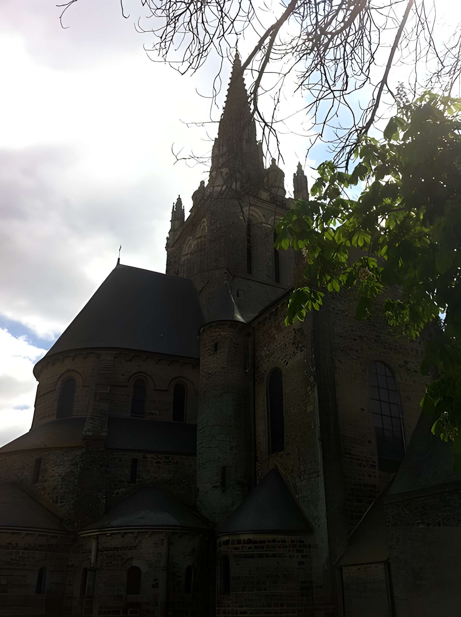 Basilique Notre-Dame d'Avesnières à Laval