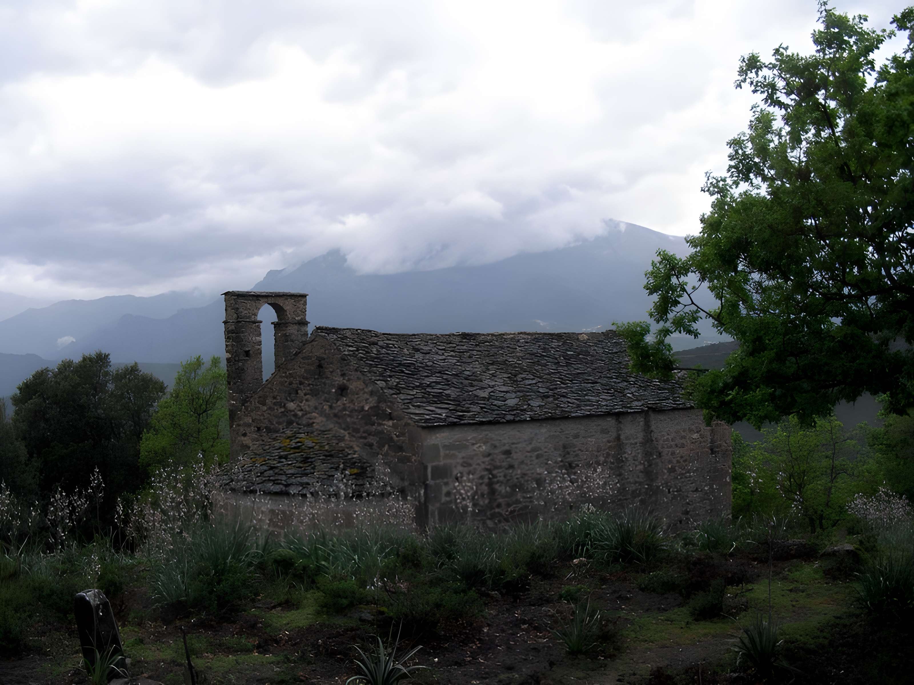 Église Saint-Martin d'Erbajolo 