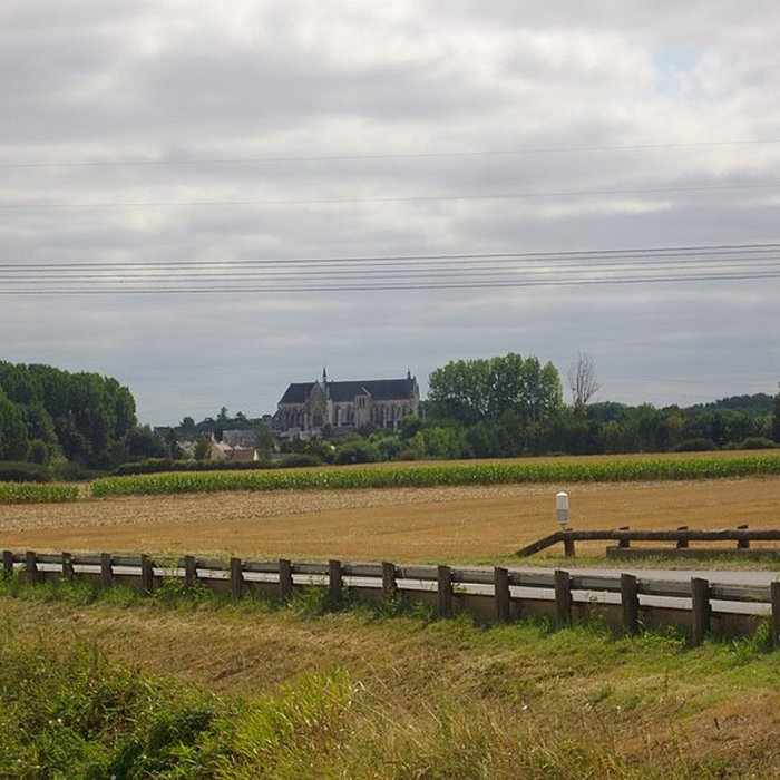 Photo de Basilique Notre-Dame de Cléry-Saint-André