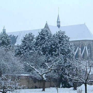 Basilique Notre-Dame de Cléry-Saint-André