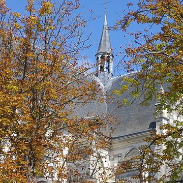 Basilique Notre-Dame de Cléry-Saint-André