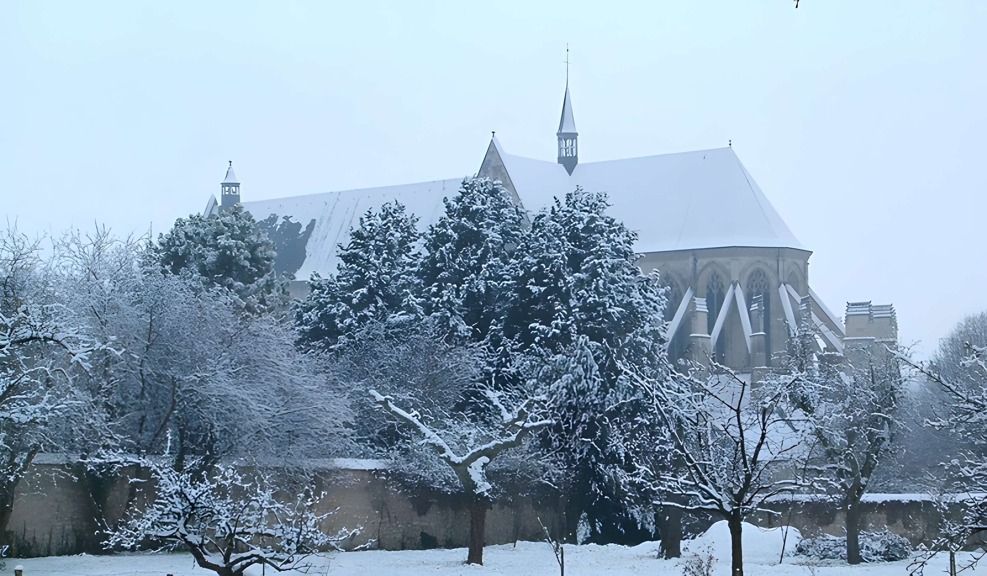 Basilique Notre-Dame de Cléry-Saint-André