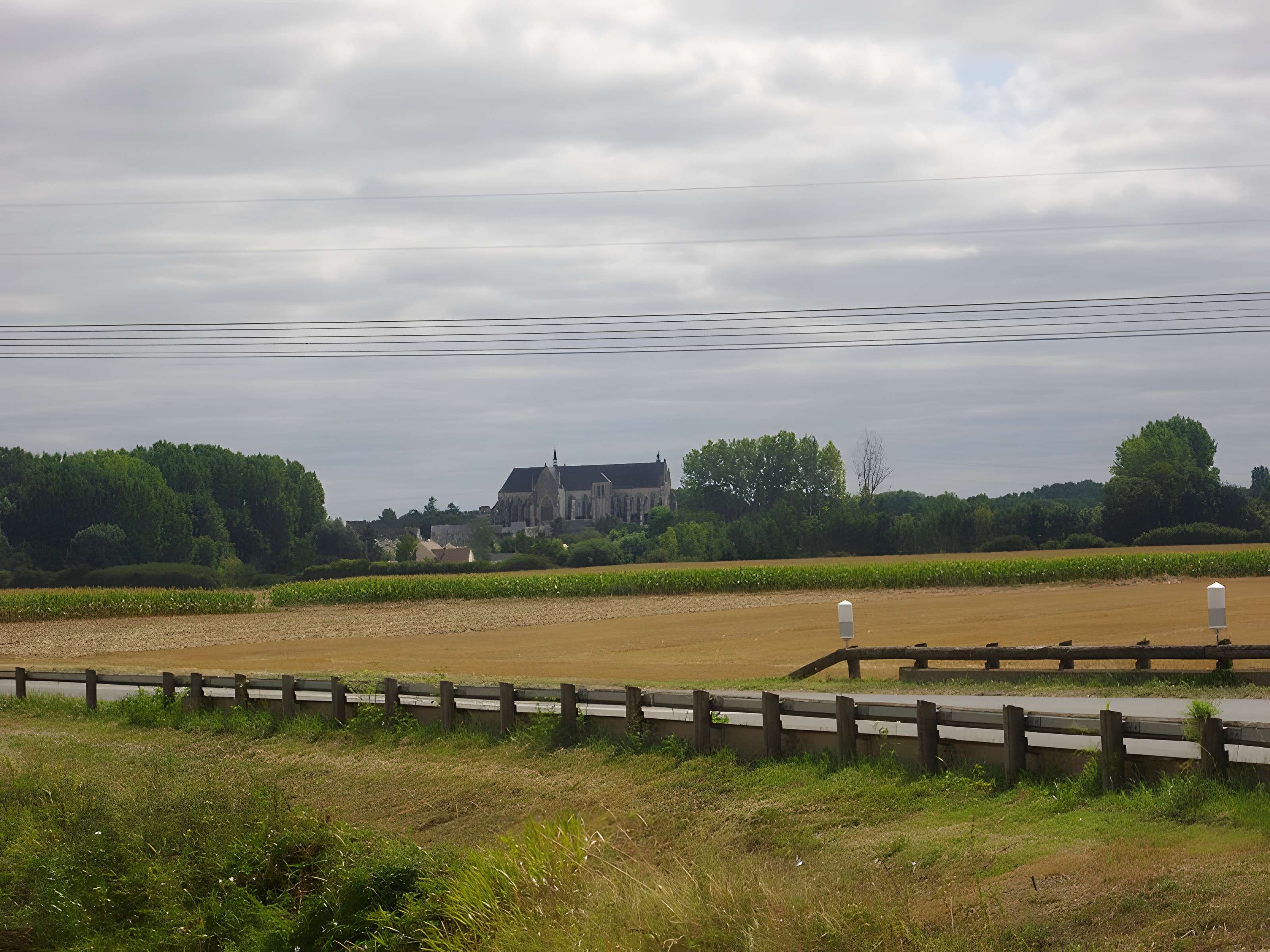 Basilique Notre-Dame de Cléry-Saint-André