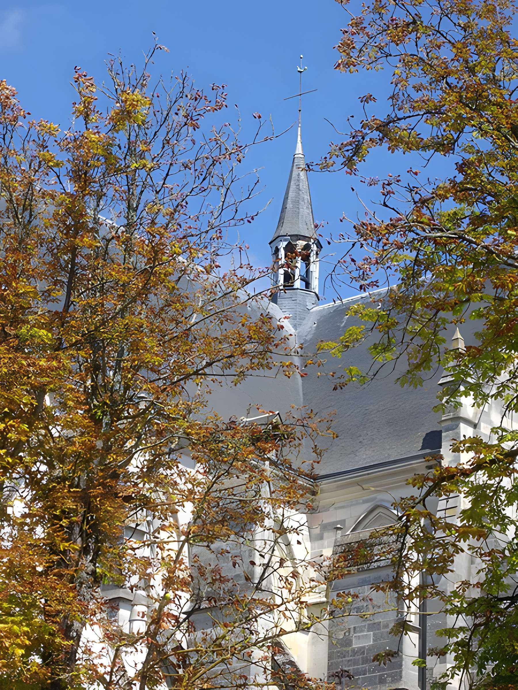 Basilique Notre-Dame de Cléry-Saint-André