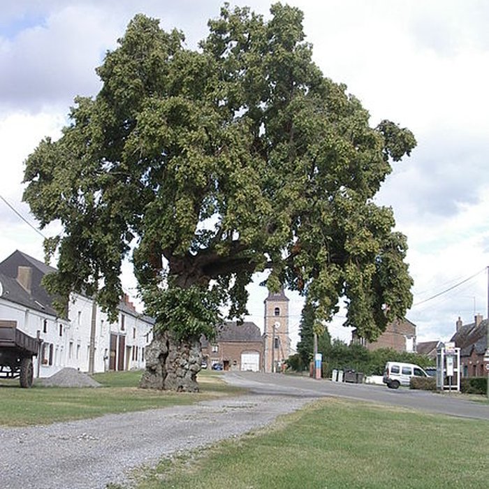 Photo de Église Saint-Martin dObrechies