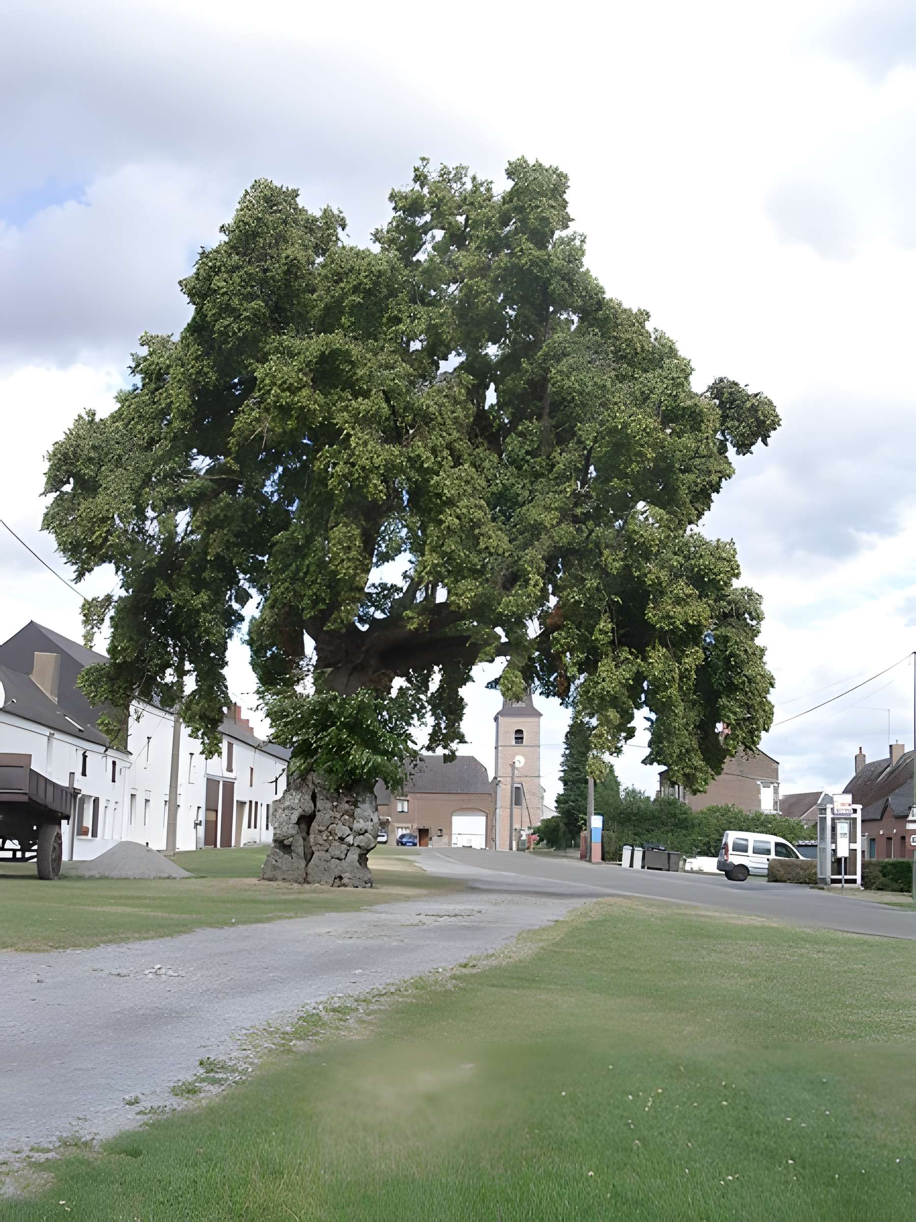 Église Saint-Martin d'Obrechies