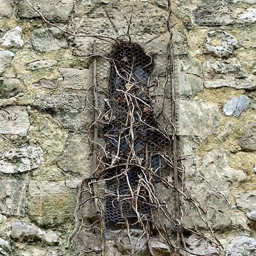 Église Saint-Martin dOmerville et 2 croix