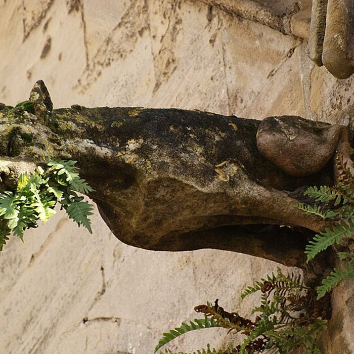 Photo de Basilique Notre-Dame de la Délivrande