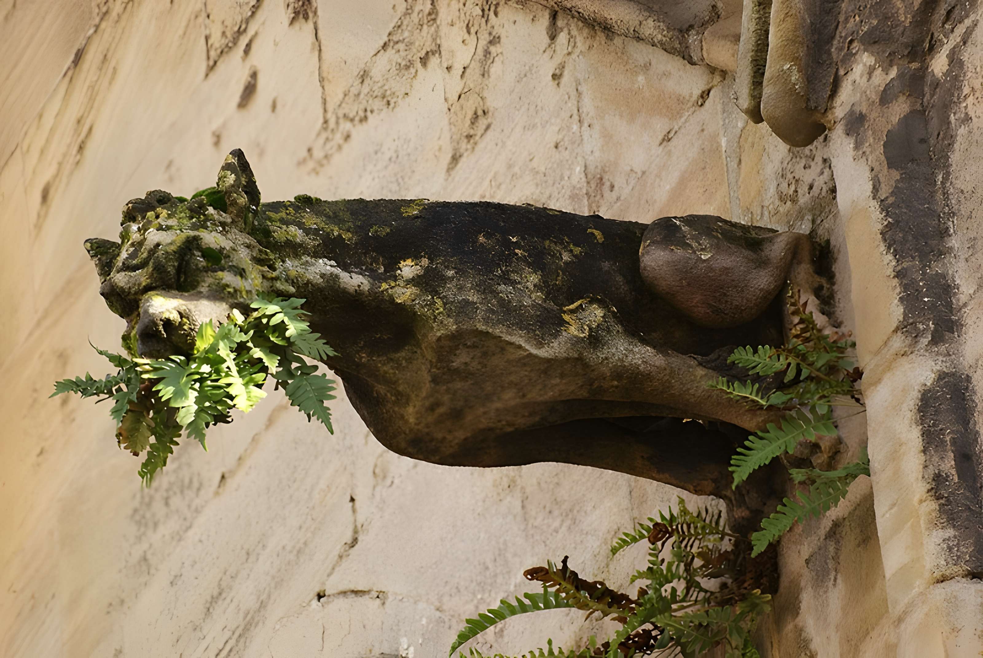 Basilique Notre-Dame de la Délivrande