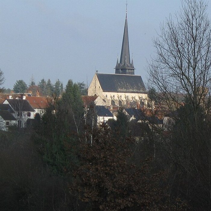 Photo de Église Saint-Martin dOuzouer-sur-Trézée