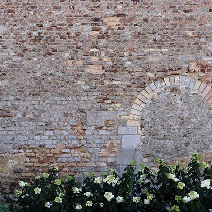 Photo de Église Saint-Martin du Lion-dAngers