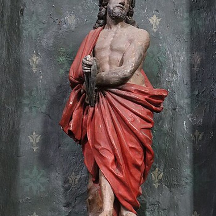 Photo de Église Saint-Martin du Lion-dAngers