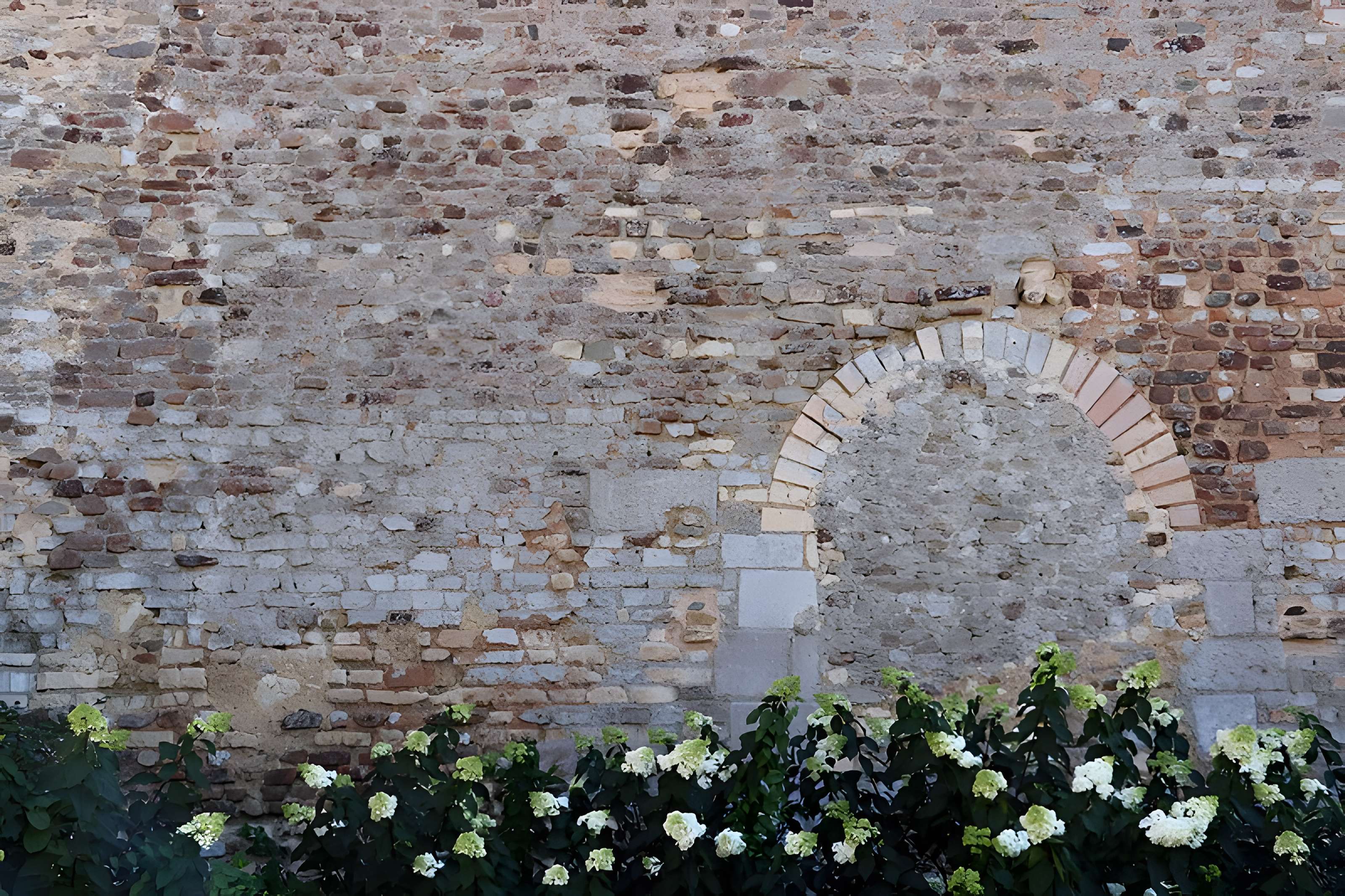 Église Saint-Martin du Lion-d'Angers
