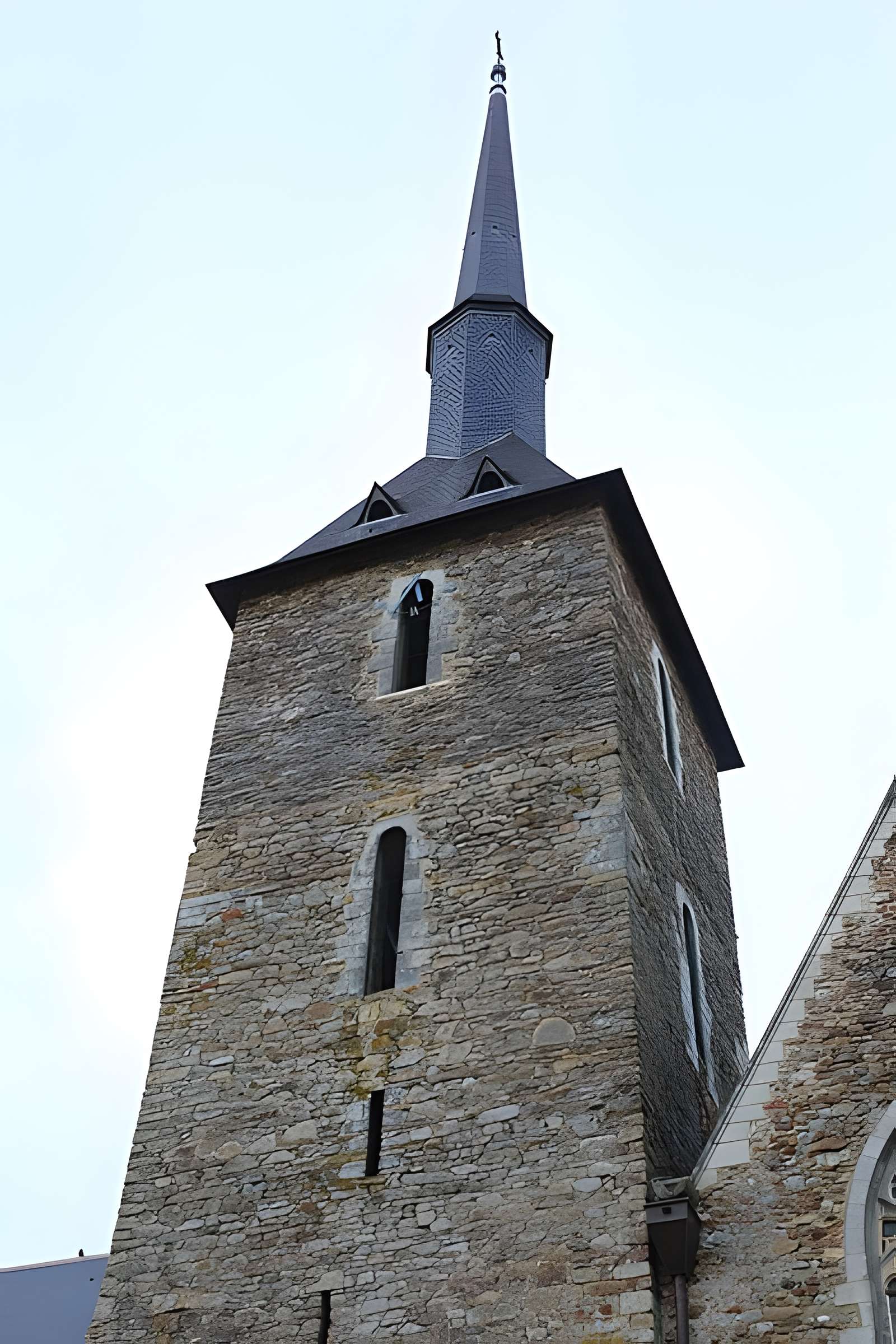 Église Saint-Martin du Lion-d'Angers