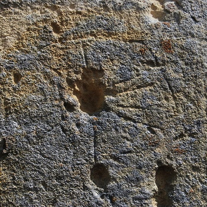 Photo de Église Saint-Martin du Pout