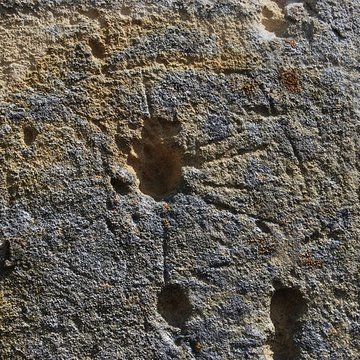 Église Saint-Martin du Pout