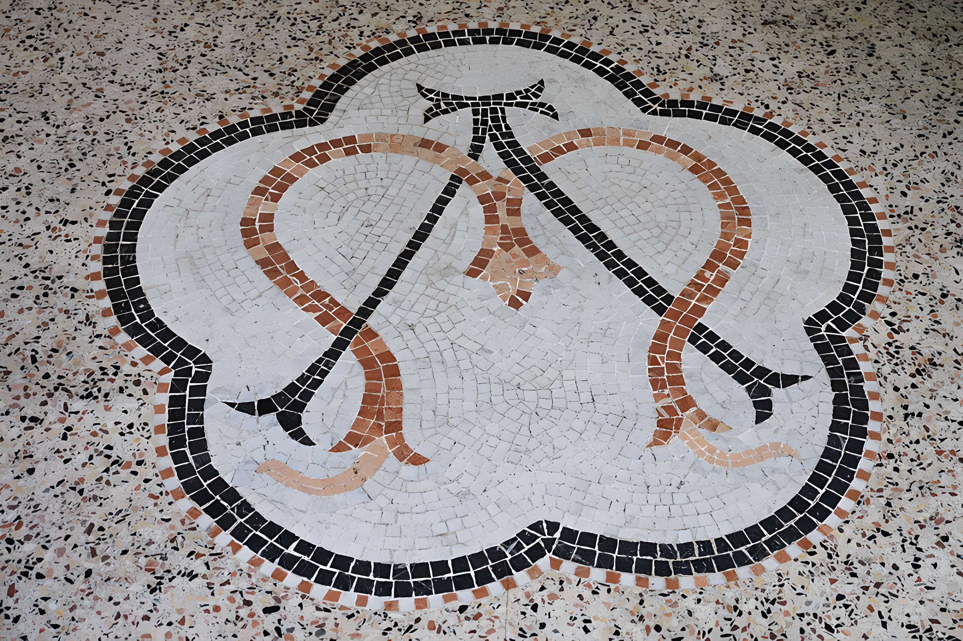 Basilique Notre-Dame des Tables de Montpellier
