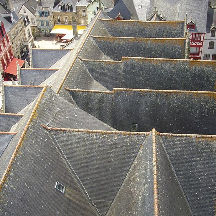 Photo de Basilique Notre-Dame du Roncier